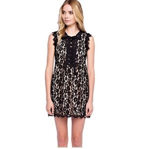✨HP✨ENDLESS ROSE Nasty Girl The Lace Instinct Dress Black Small NWOT